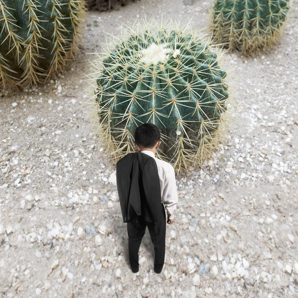 Rear view of man with cactus