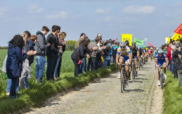 The Peloton- Paris Roubaix 2014