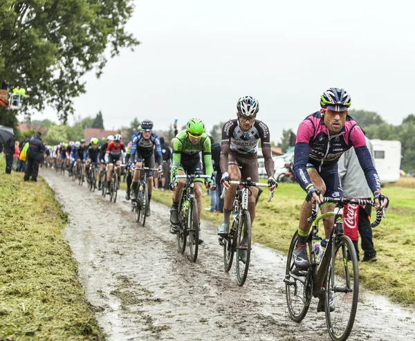The Peloton on a Cobbled Road- Tour de France 2014