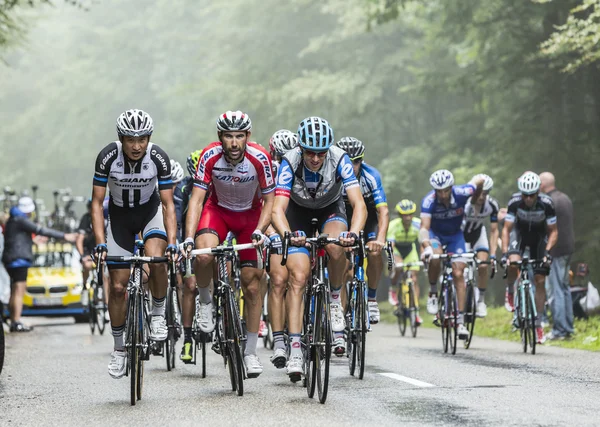 The Peloton in a Misty Day