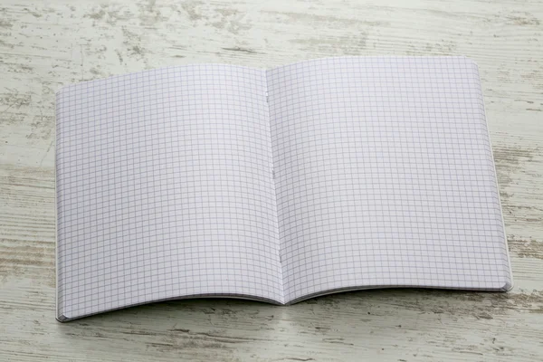 Open notebook with squares