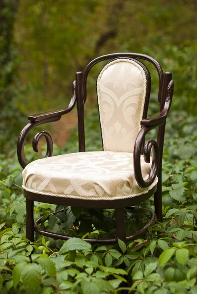 Vintage chair in the autumn park