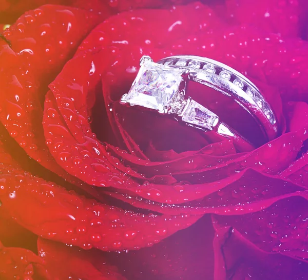 Diamond rings in Red rose