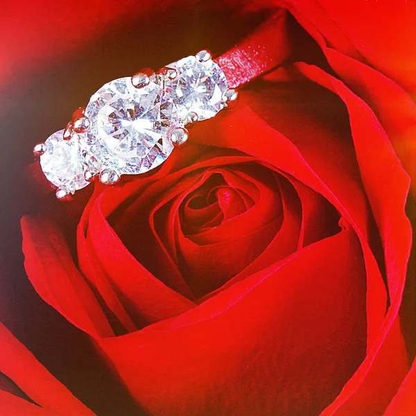 Diamond ring in Red rose