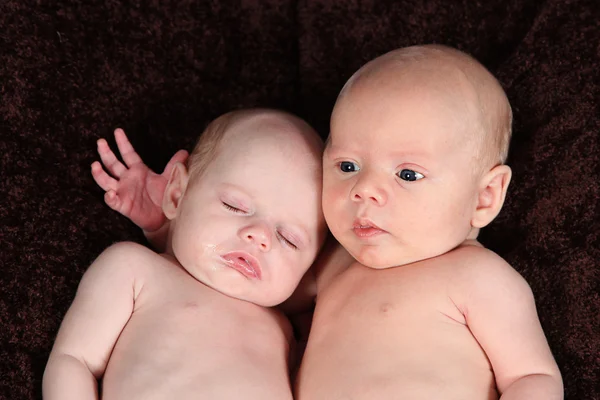 Newborn brother and Sister lying on brown blanket