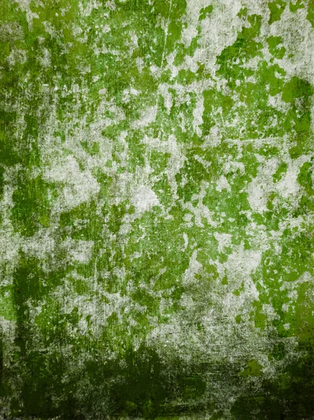 Grunge green wall .Urban texture