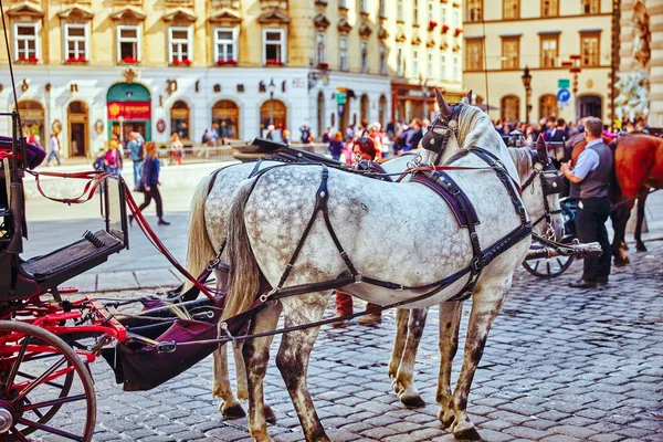 VIENNA, AUSTRIA- SEPTEMBER 10, 2015: Carriage horses walking in
