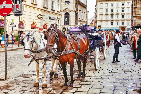 VIENNA, AUSTRIA- SEPTEMBER 10, 2015: Carriage horses walking in