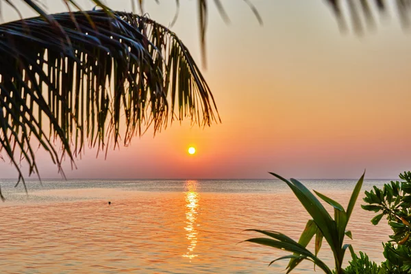 Sunset on a tropical island in the Indian Ocean. .