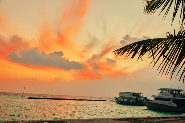 Sunrise on a tropical island in the Indian Ocean. Maldives.