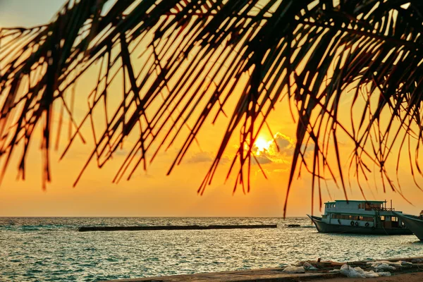 Sunrise on a tropical island in the Indian Ocean. Maldives.