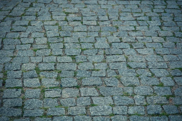 Paving stone in Poland