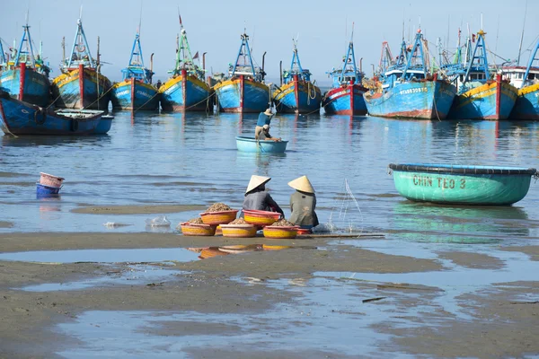 Two women sit with their catch amid the fishing boats. Fish haven in Mui Ne, Vietnam