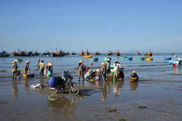 Local residents dismantled and sorted night catch in the fishing harbor of the village of Mui Ne, Vietnam