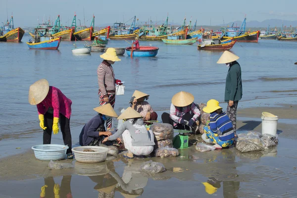 Group vietnamese women examines the catch in the fishing harbor of Mui Ne. Vietnam