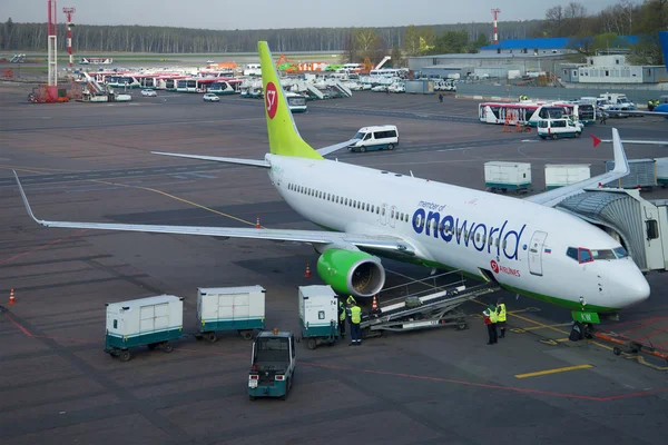 Loading luggage into the airplane Boeing 737 Next Gen (VQ-BKW ) airlines S7 Siberia Airlines at Domodedovo airport