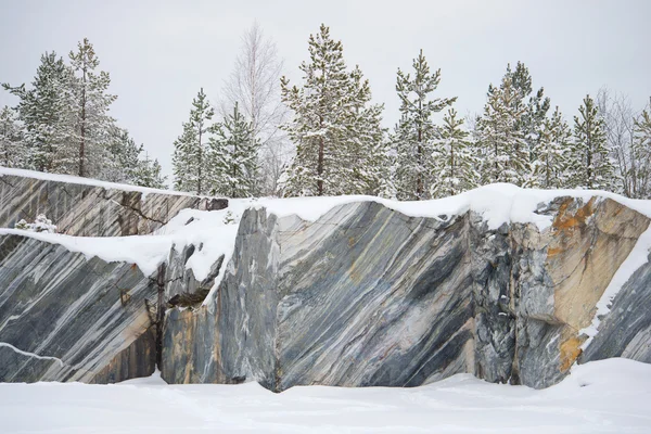 Trees, growing on rocks Marble quarry, gloomy january day. Ruskeala, Karelia