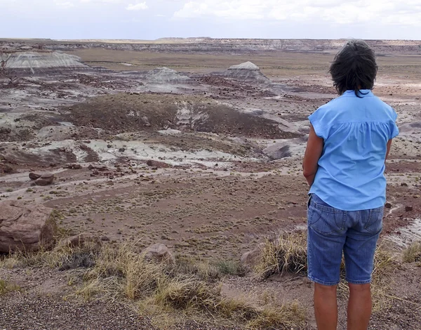 American tourist at the Painted Desert