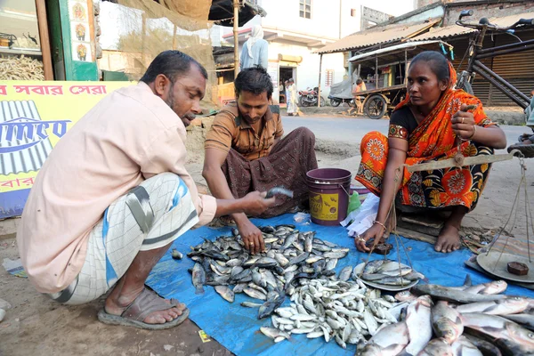 Unidentified man sells fish at fish market in Kumrokhali, West Bengal, India