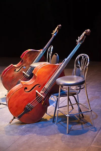 Contrabasses on a scene of a concert hall