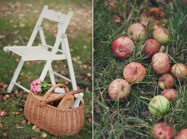 Garden chair on the lawn and fallen apples