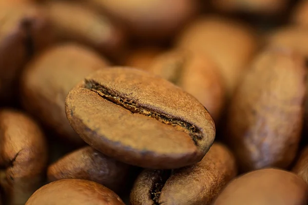 Closeup of coffee beans with focus on one, macro