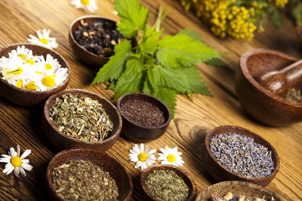 Fresh medicinal herbs