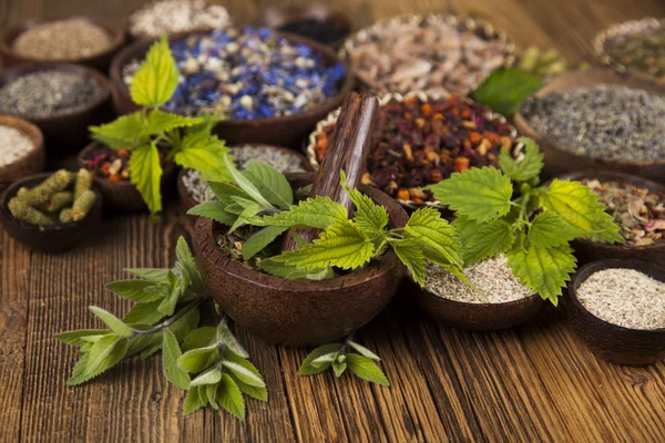 Assorted natural medical herbs