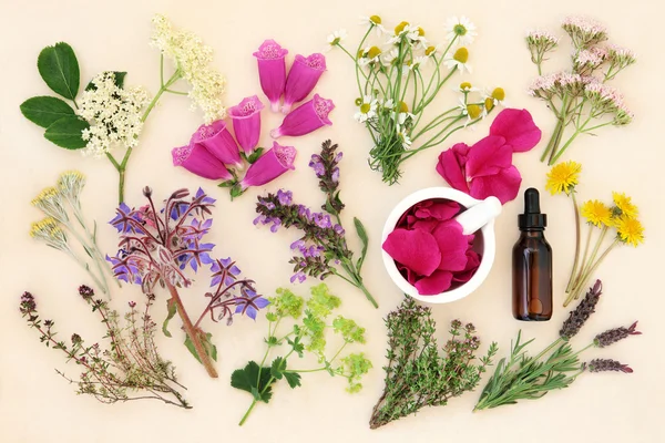 Medicinal Flowers and Herbs