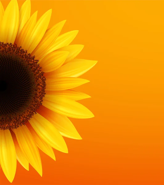 Sunflower background