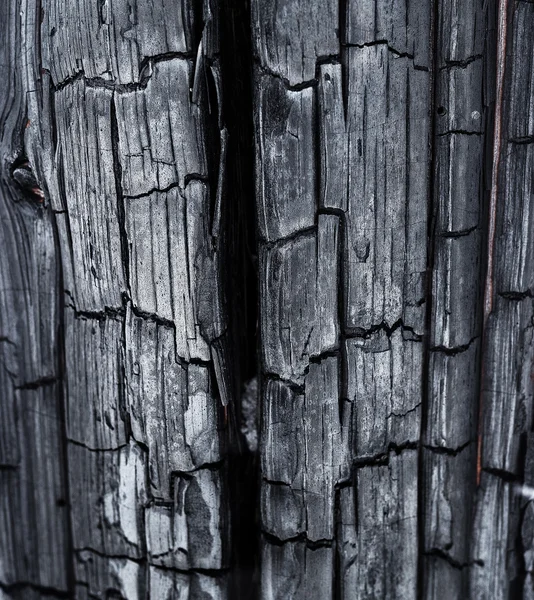 Texture of black carbon from the burnt wood in the forest