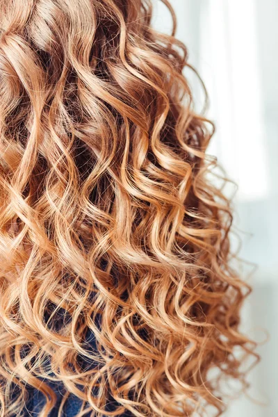 Close-up of curly blond hair in barber beauty salon