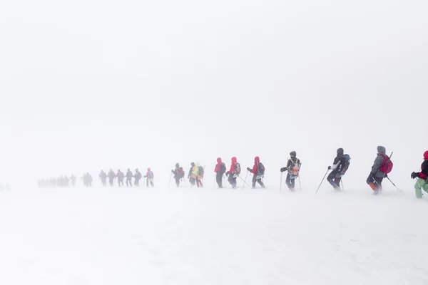 Elbrus, Caucasus mountains, Russia. A huge group of climbers descends from the Elbrus in the fog. The concept of climbing the mountain in a snow storm