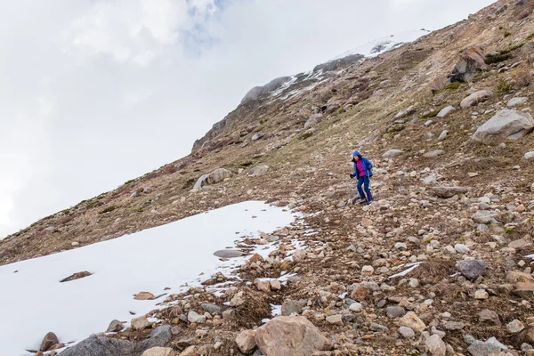 Woman hiker trekking in Caucasus mountain trail, walking with trekking poles