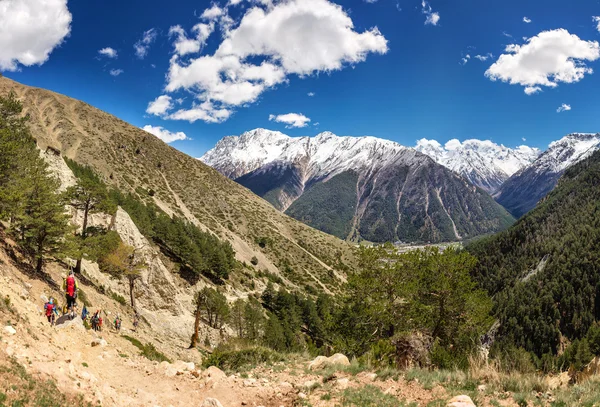 Trekking group in Summer Caucasus Mountains