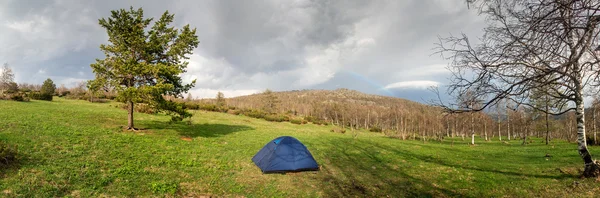 Panorama of the lush green spring meadows, tent and trees
