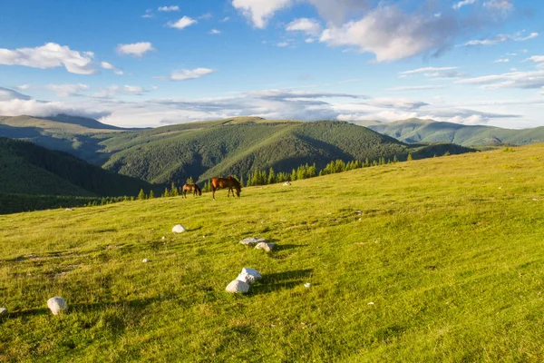 Mountain landscape with horses