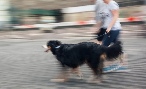Man runs with his dog outside