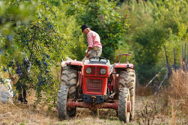 farmer on  tractor with  trailer