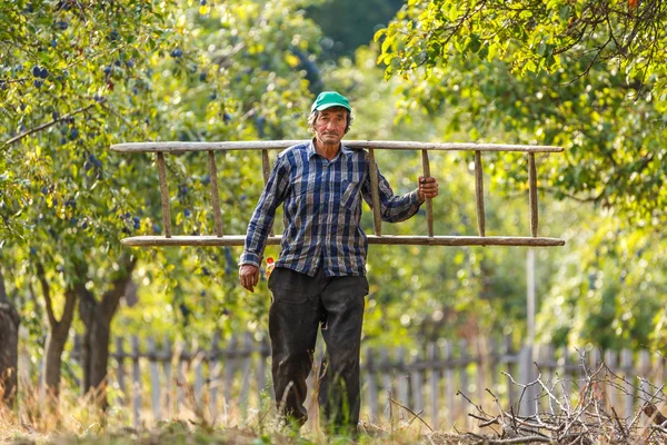 farmer carrying a wooden ladder