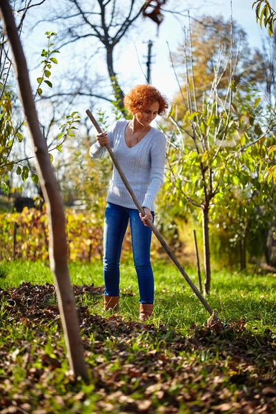 Woman with rake cleaning garden