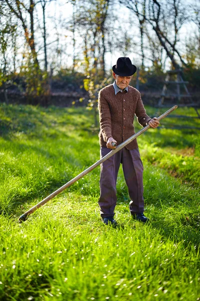 Farmer mowing lawn with scythe