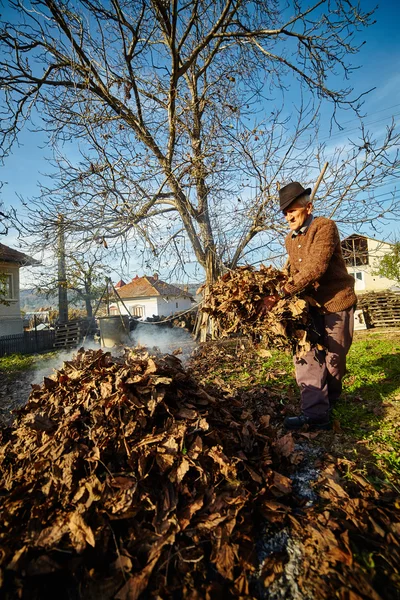 Old farmer burning dead leaves