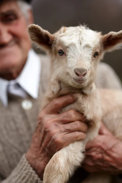 Old man with baby goat