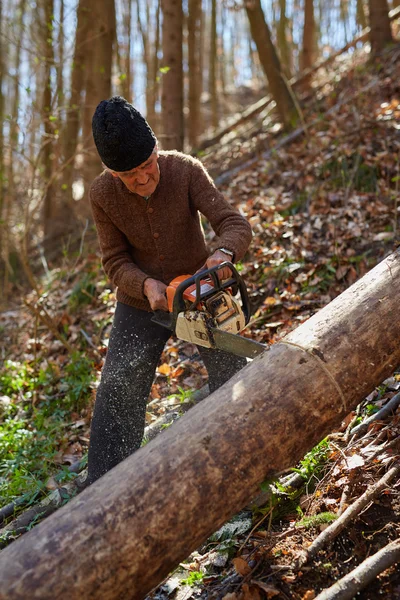 Old woodcutter at work with chainsaw