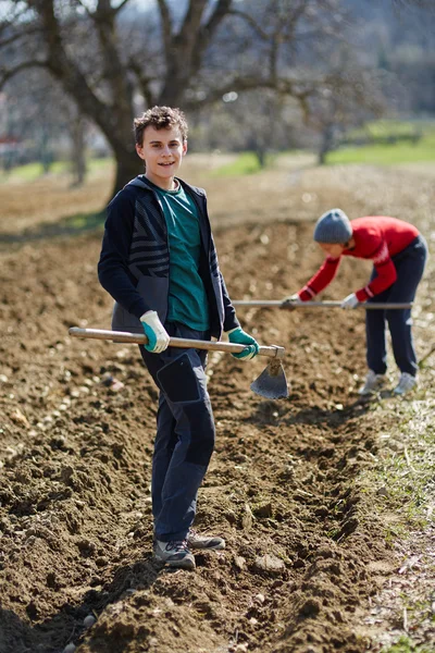 People sowing potato