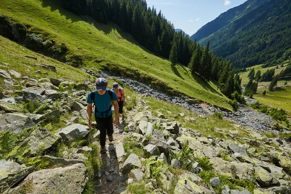 Hikers on a mountain trail