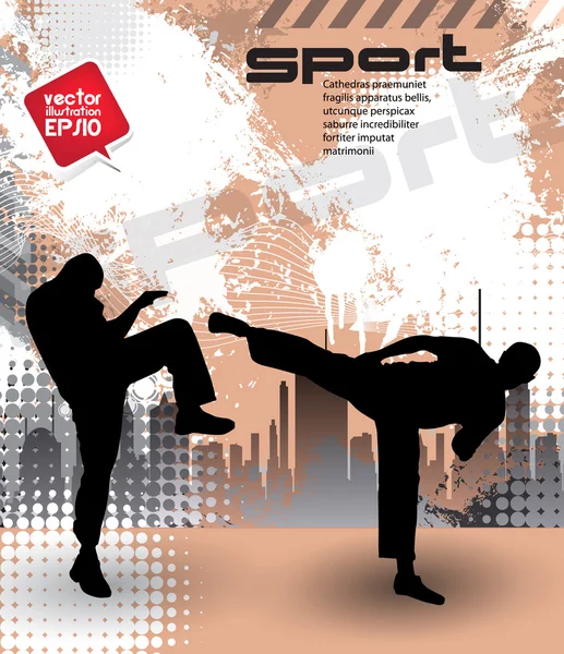 Martial art, sport background