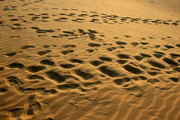 Footprints on Sand at Sunset