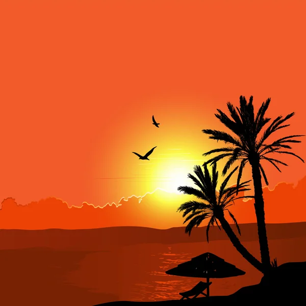 A Tropical Landscape Sunset with Palm Trees